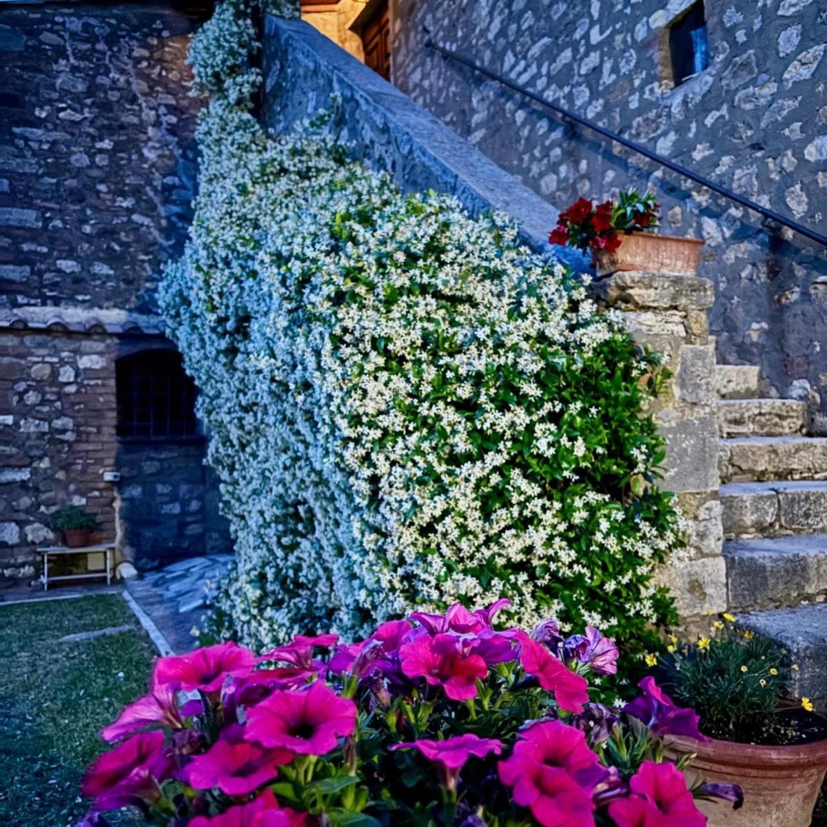 Residenza Santa Maria In Borraccia Bed & Breakfast Magliano in Toscana Eksteriør bilde