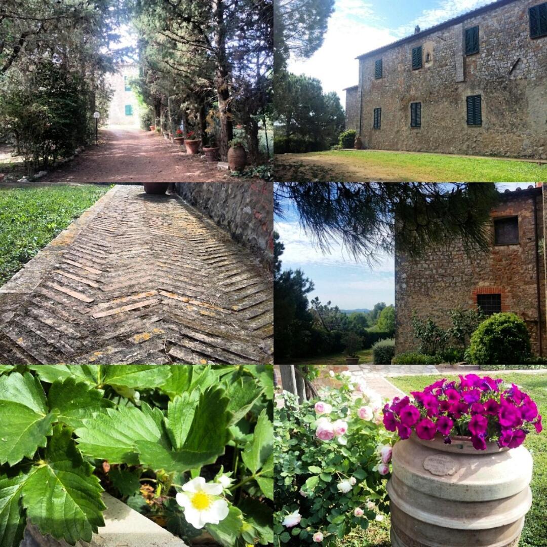 Residenza Santa Maria In Borraccia Bed & Breakfast Magliano in Toscana Eksteriør bilde